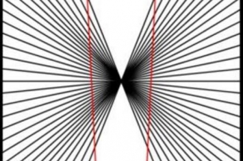 有趣的黑林错觉图片，相信我这两条真的是直线