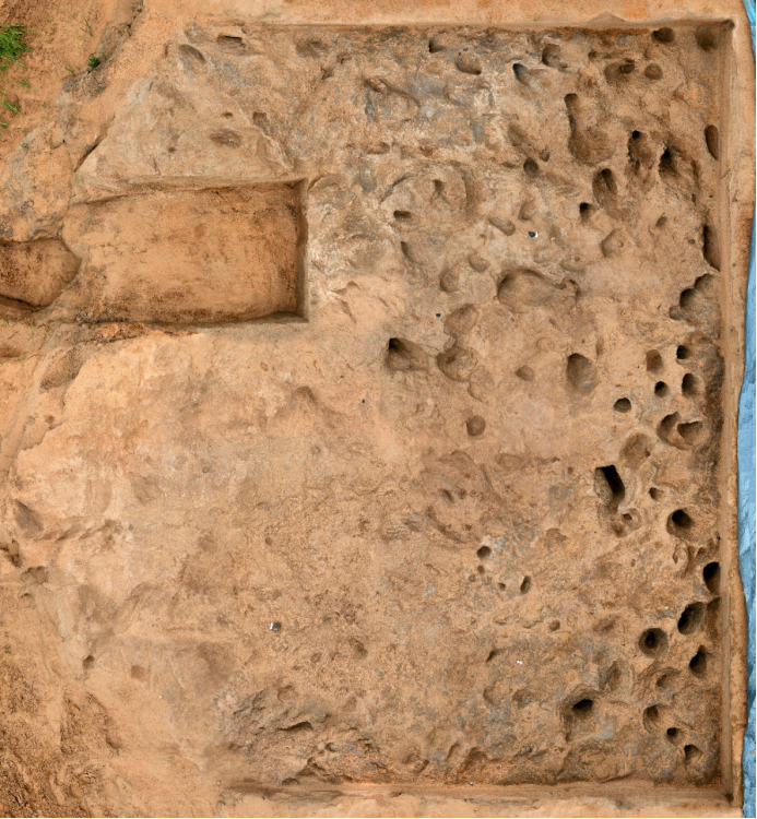 鄂尔多斯乌兰木伦遗址揭露罕见大规模动物群脚印和植物遗迹化石面