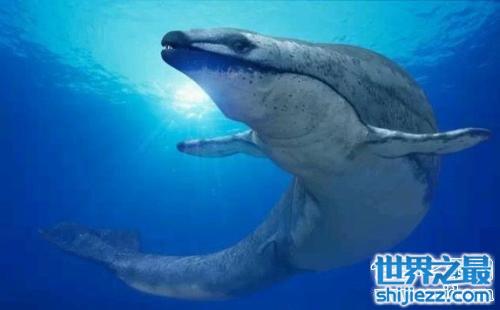 深海巨兽龙王鲸，难道真的是龙王的化身？