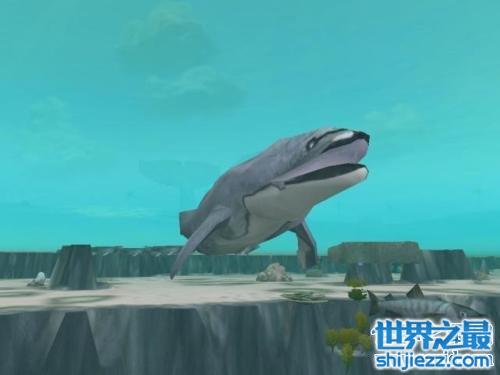 深海巨兽龙王鲸，难道真的是龙王的化身？