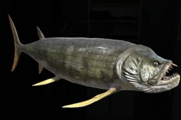 世界上牙最尖的鱼,史前最吓人的鱼