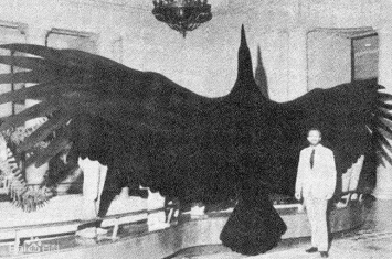 世界上最大的飞禽：桑氏伪齿鸟，化石需吊车搬运(翼展7.3米)