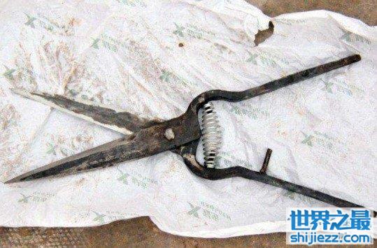 第一把剪刀是谁发明的，中国曾出土2100年前的剪刀