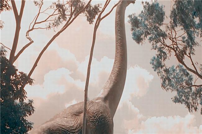 世界上最高最重的恐龙 腕龙（身高15米体重惊人）