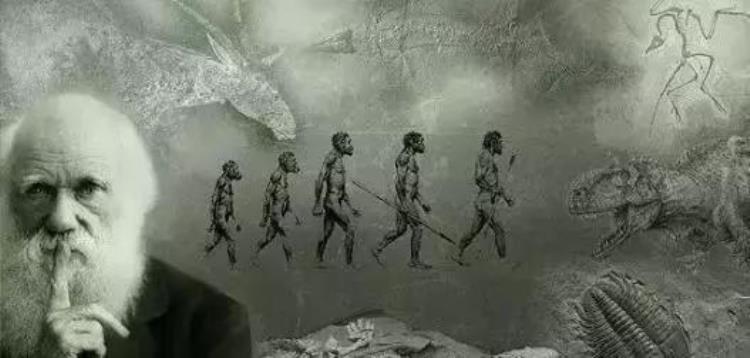 有人说进化论是谎言误导人类起源真相真的吗什么意思,进化论能解释人类起源吗