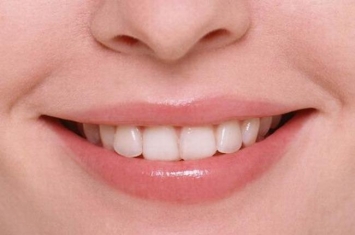 为什么人的牙齿长得不一样?门牙尖牙功能各异(撕碎研磨)