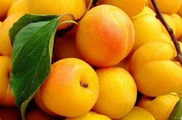 杀死癌细胞最狠的水果 这几种水果可以减少癌细胞