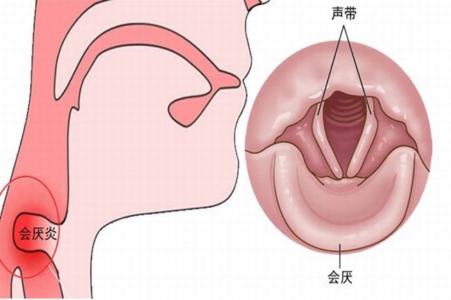 人的小舌有什么用?防止食物和液体倒流鼻腔(食道的小门)