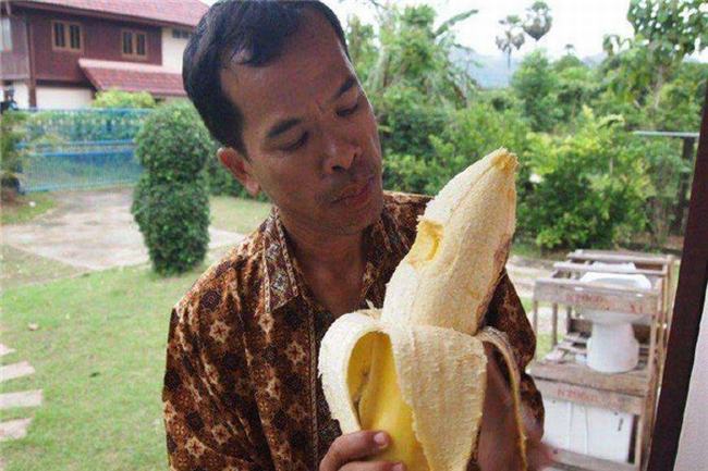 世界上最大的香蕉品种是什么 新几内亚的特殊品种