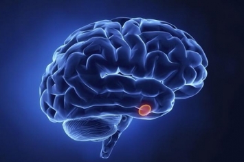 为什么脑子越用越灵活?人至少有80%的脑神经没被使用过