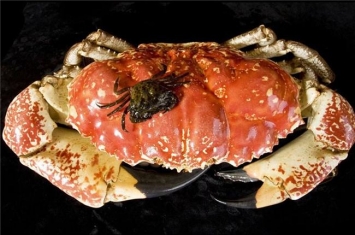 世界上最大的食用蟹 皇帝蟹（一只脚就能让人吃饱）
