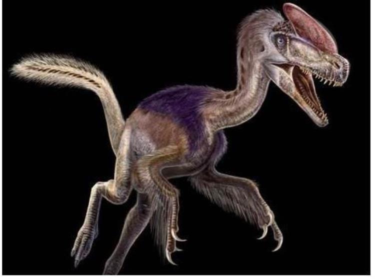 盘点连科学家都感到新奇的17种怪异的恐龙的故事,十种奇怪的恐龙