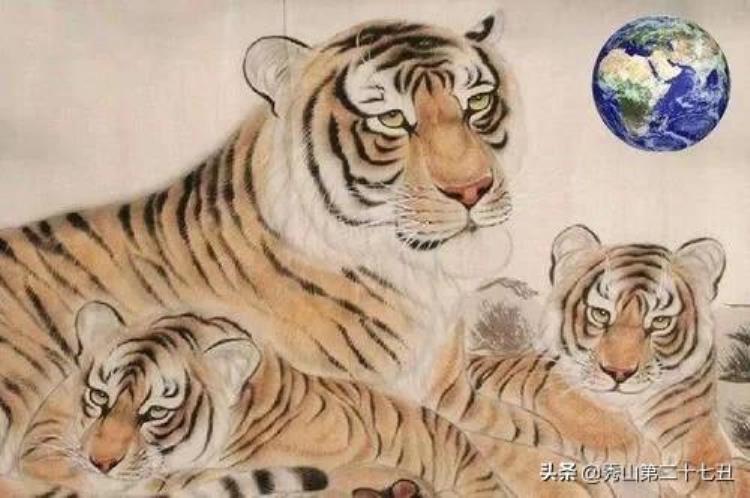 史上最巨大的老虎东北虎在它面前就像是小猫咪一样,历史上体型最大的老虎