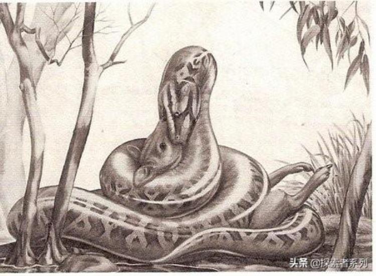 远古时代的巨蛇,世界十大史前蛇
