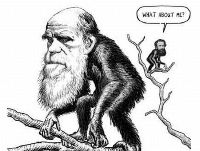 进化论被推翻三大理由 进化论最大的缺陷有哪些