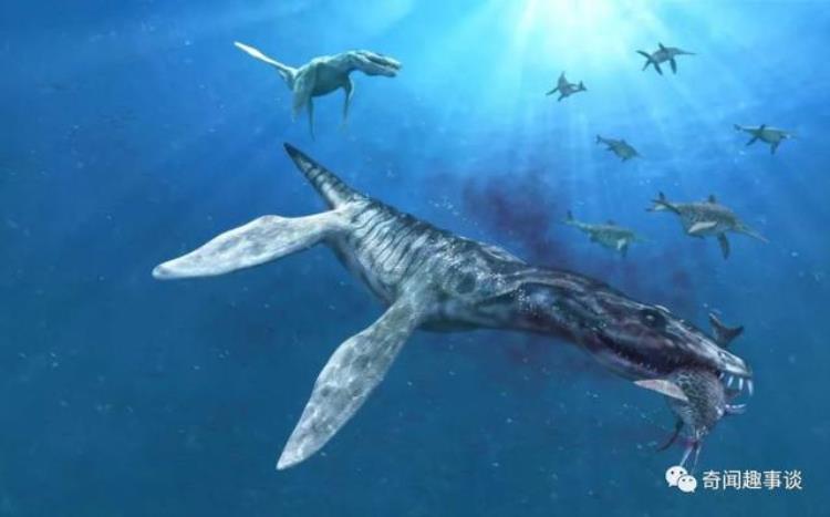 远古时代的海洋十大巨兽,远古最厉害的海洋巨兽