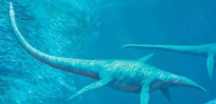 远古时代的海洋十大巨兽,远古最厉害的海洋巨兽