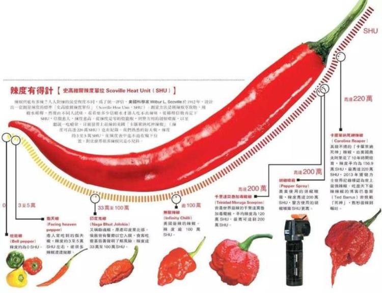 世界上最辣的辣椒威力如何「世界上最辣的食用辣椒」