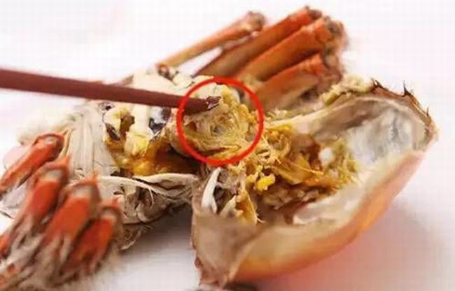 冰冻的死螃蟹能吃吗?吃死螃蟹对身体有哪些危害