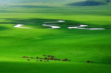 世界上最绿的草原:呼伦贝尔大草原，120种牧草(天然牧场)