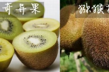 猕猴桃和奇异果的区别 猕猴桃奇异果是一种东西吗