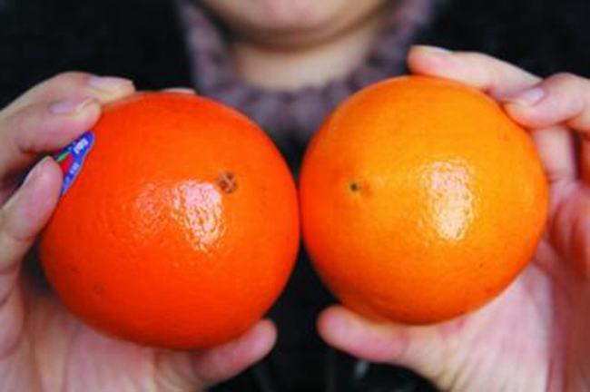 怎么看橙子有没有打蜡?打蜡的橙子对人体有害吗