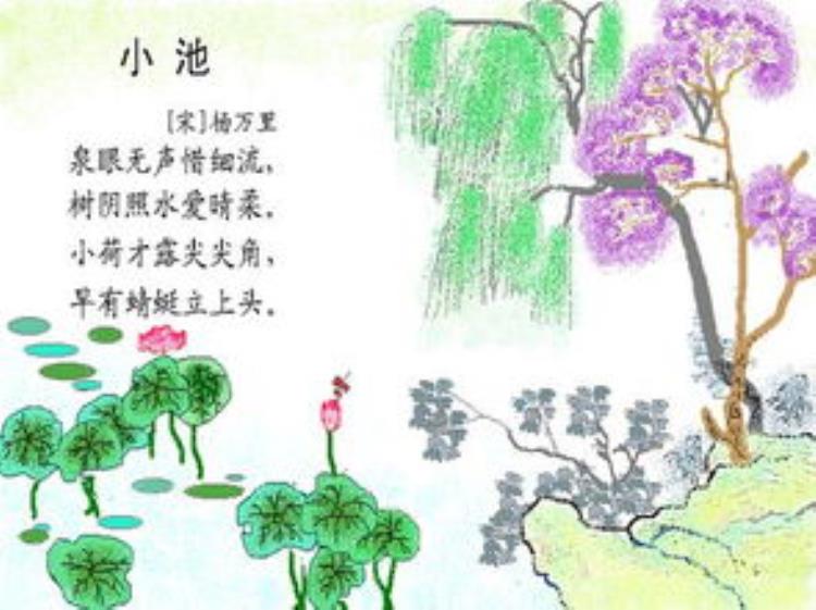 (小池)作者:杨万里,很经典的一首诗!,一年级古诗背诵小池