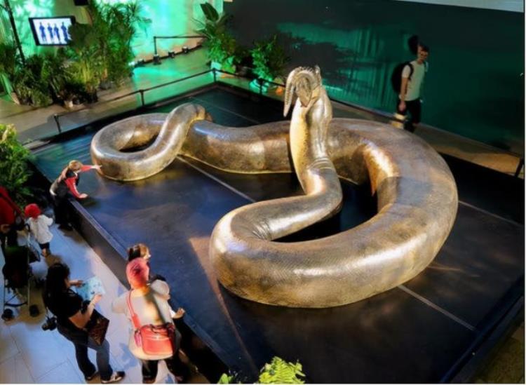 印度最长的蛇,世界上目前最长的蛇是什么