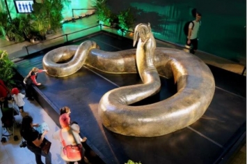 印度最长的蛇,世界上目前最长的蛇是什么