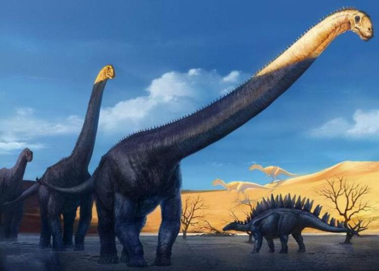 同样是恐龙时代侏罗纪和白垩纪有何不同之处,侏罗纪白垩纪恐龙区别