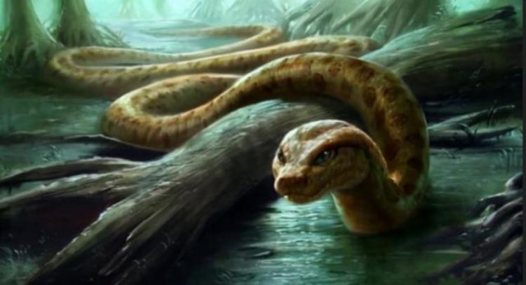 蟒蛇最多活多少年,世界上活得最久的蟒蛇