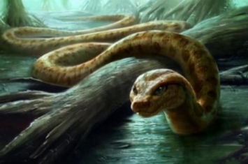 蟒蛇最多活多少年,世界上活得最久的蟒蛇