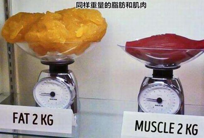 肌肉和脂肪哪个重 吃哪些物质可以减掉脂肪（肌肉重）