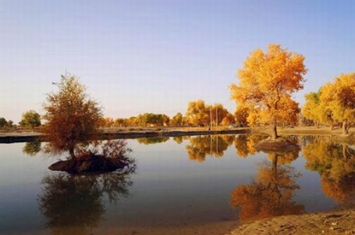塔里木河的源头在哪里 它是新疆最大的内流河