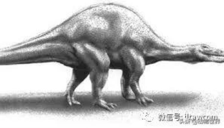 最大型的陆生肉食性恐龙之一棘龙是什么,棘龙是大型肉食恐龙吗