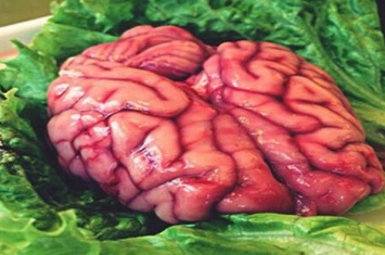 脑花的营养价值有哪些 脑花的制作方法（胆固醇高）