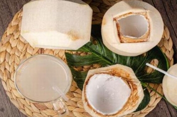 泰国香椰危害有哪些 泰国香椰和普通椰子的区别