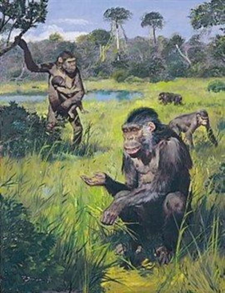 腊玛古猿是人类的祖先,最早的古猿