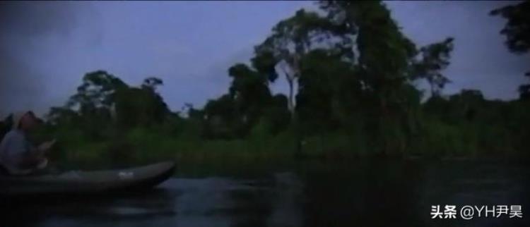 在南美原始森林的河流里有一种射水鱼,洪水中哪些野生动物可以被攻击
