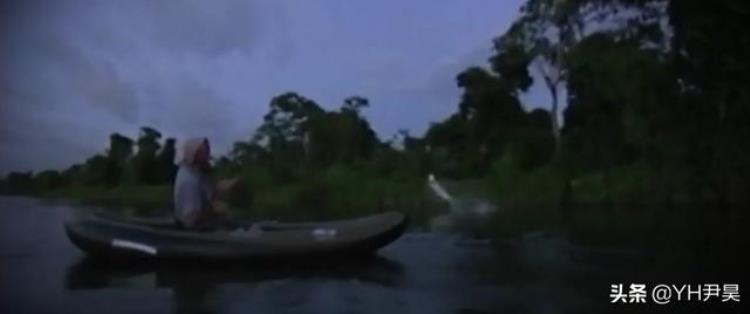 在南美原始森林的河流里有一种射水鱼,洪水中哪些野生动物可以被攻击