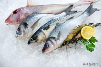 什么鱼好吃有营养刺又不多,哪种鱼最好吃还有营养