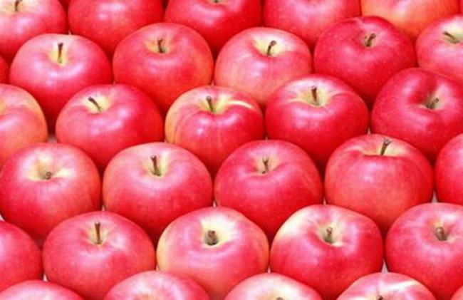 苹果心烂了还能吃吗 有很多细菌影响身体健康（不能吃）