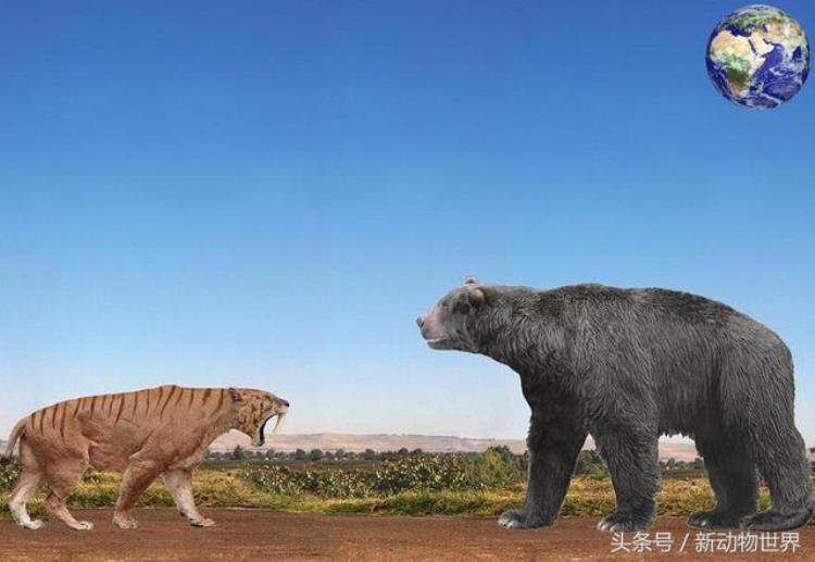 最大的大象有几吨重,史前最凶猛的熊