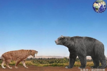 最大的大象有几吨重,史前最凶猛的熊