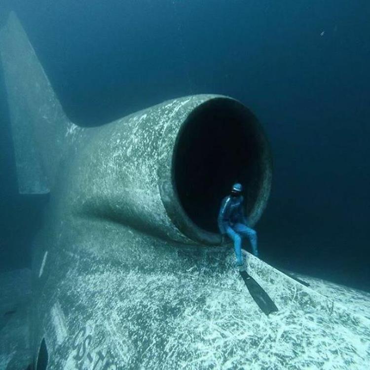 能吓死人的深海恐惧图,五张看完令人毛骨悚然的大海照片