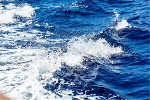 海水中含量最多的金属元素是什么 海水中的元素有哪些