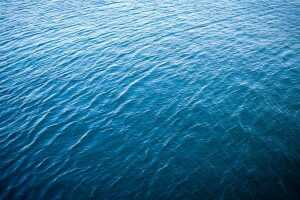 海水中含量最多的金属元素是什么 海水中的元素有哪些