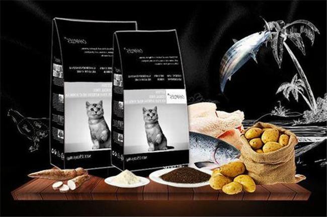 世界猫粮品牌排行前五名 猫粮都有什么好品牌