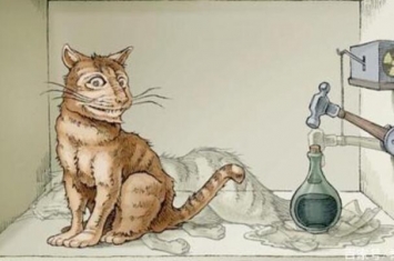 薛定谔的猫是什么意思 薛定谔的猫说明了什么