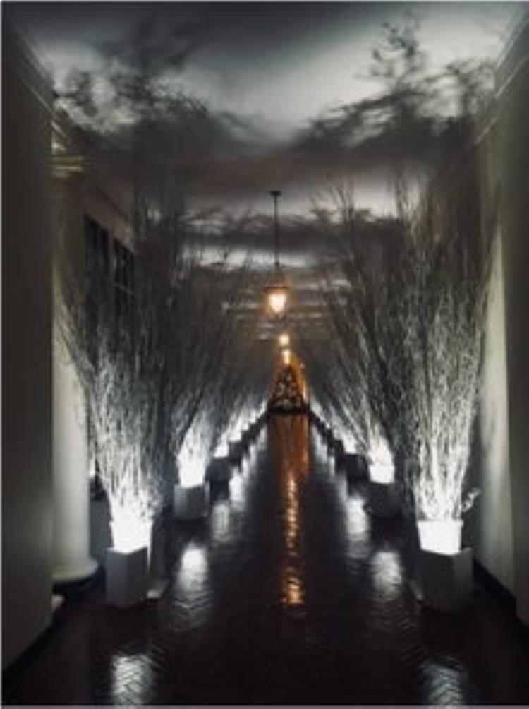 白宫闹鬼事件始末知乎,白宫的诡异事件
